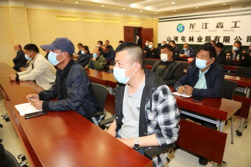 龙江森工众创集团 以科技服务赋能林区，信息技术咨询服务助力绿色转型